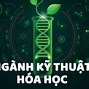 Kỹ Thuật Hoá Học Đại Học Bách Khoa Ra Làm Gì Ở Đâu